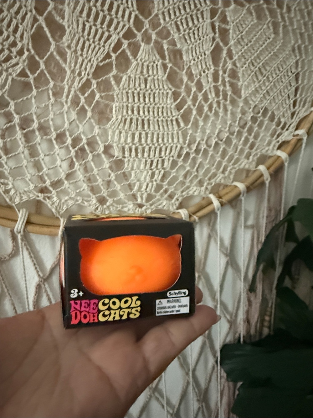 😻🔥VIRAL Nee Doh - Orange Cat 😻🔥